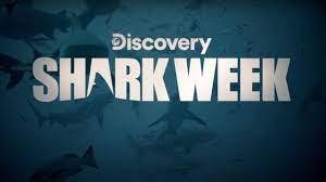 Shark Week Logo