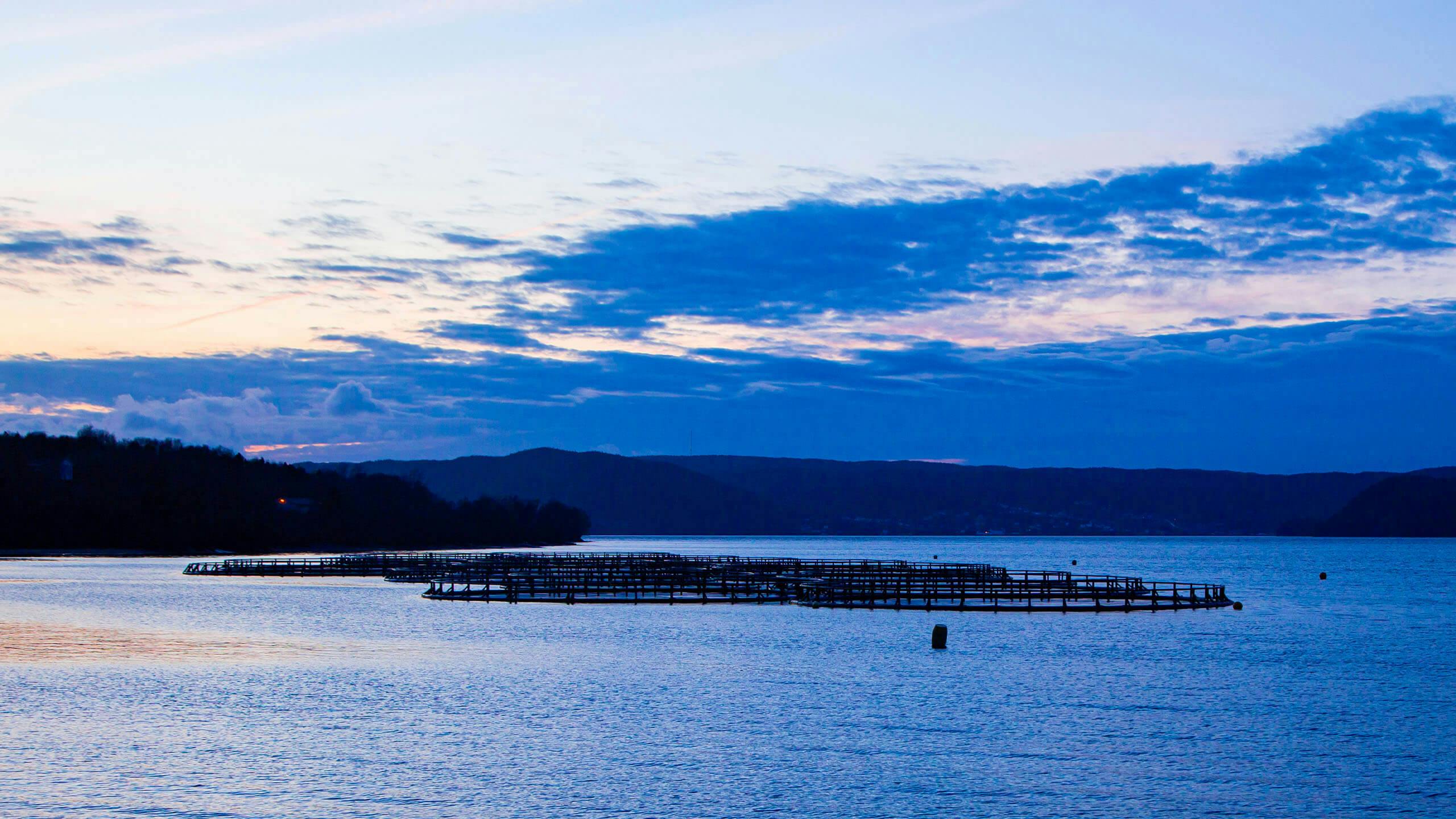 Aerial drone footage of sunset over ocean showing aquaculture cages