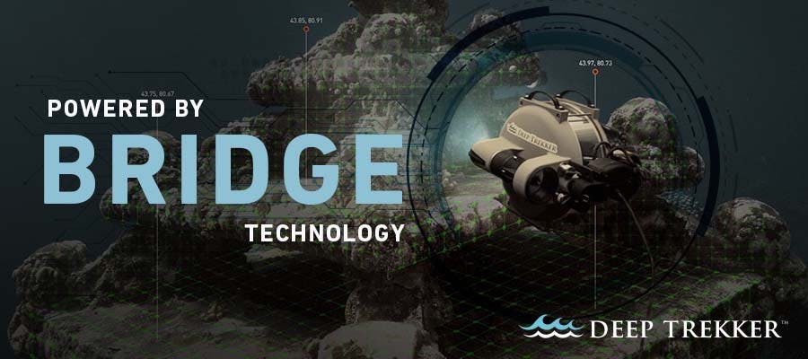 bridge-technology-information-banner