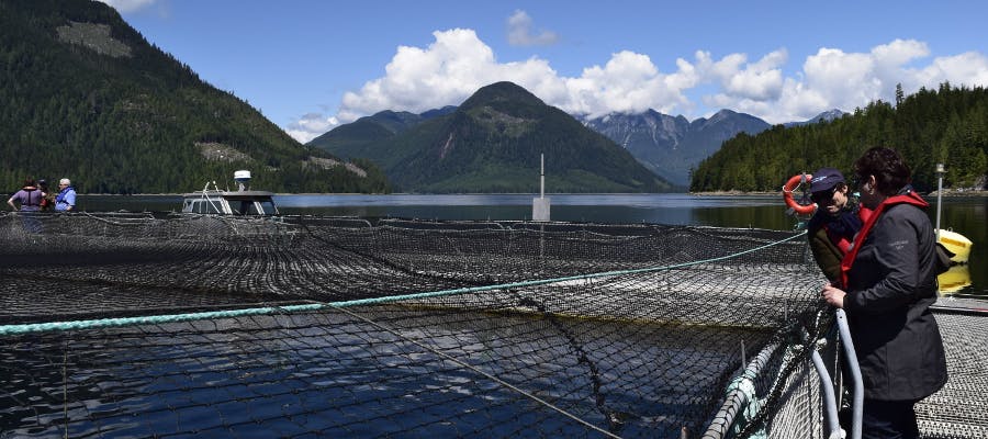 fish farming rov uses