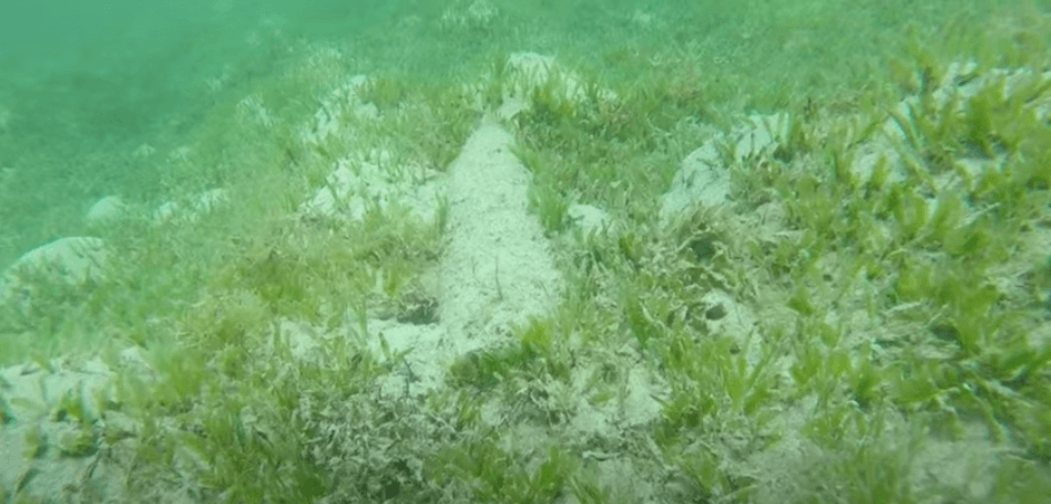 Underwater shot of seafloor by DTG3 ROV