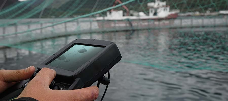 Consejos para la acuicultura: comprensión de la calidad del agua