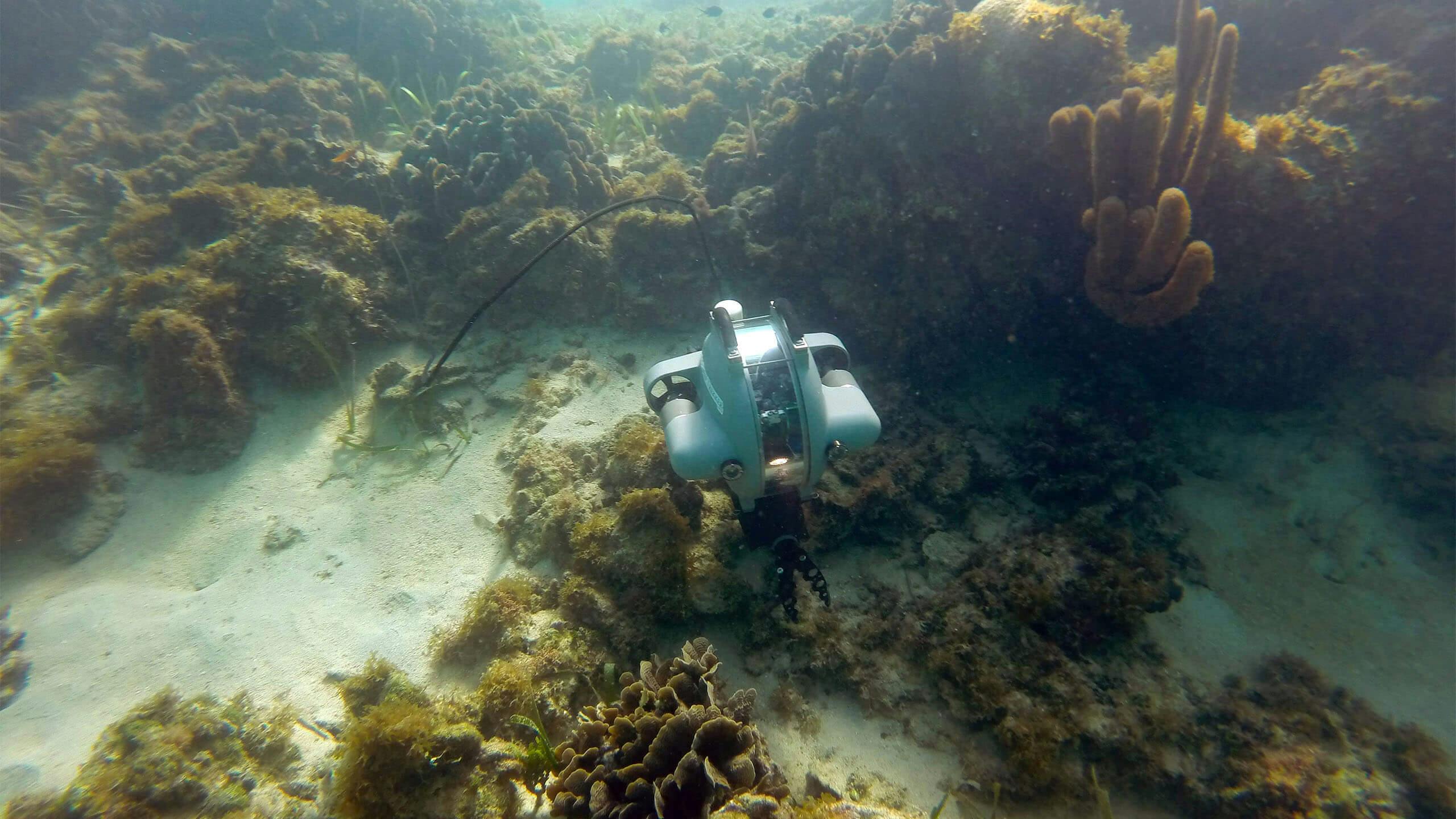 Underwater ROV DTG3 swimming above coral and sand in ocean. 