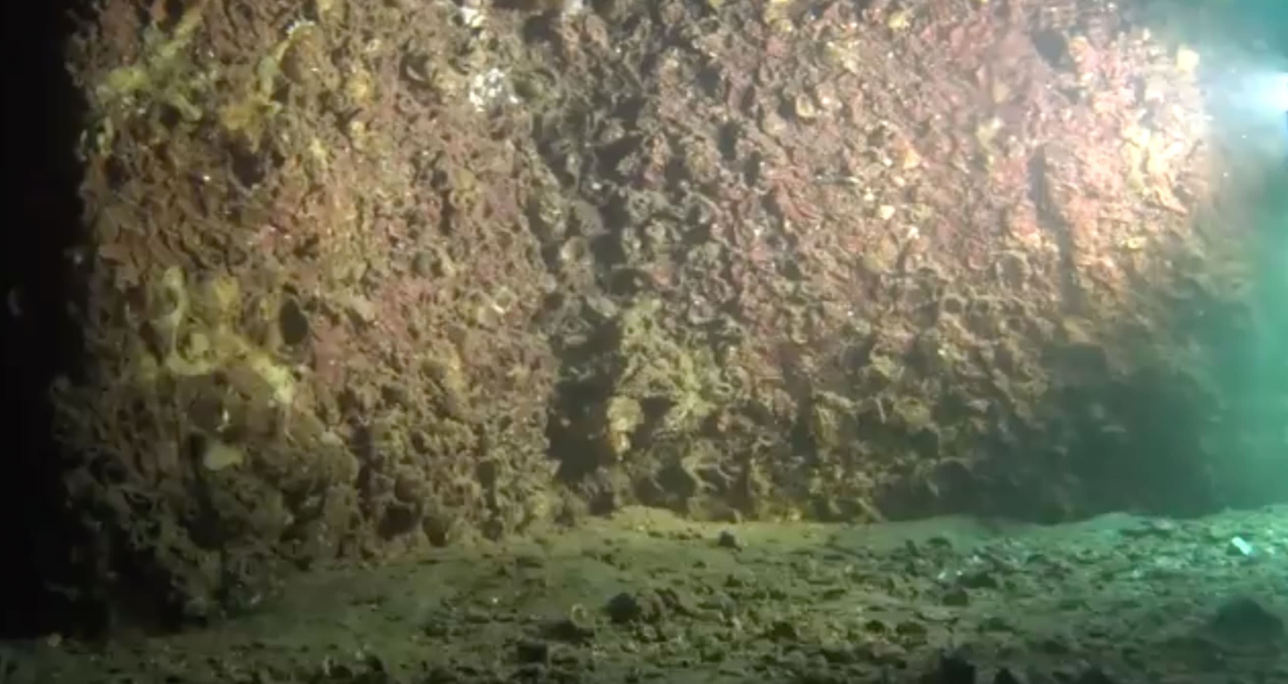 USS-Arizona-Expedition-Footage