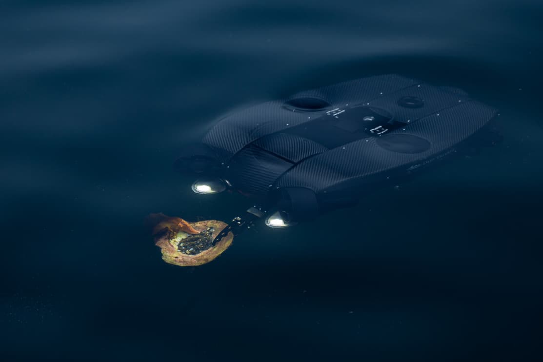 Revolution just below surface holding a shell with starfish on it.