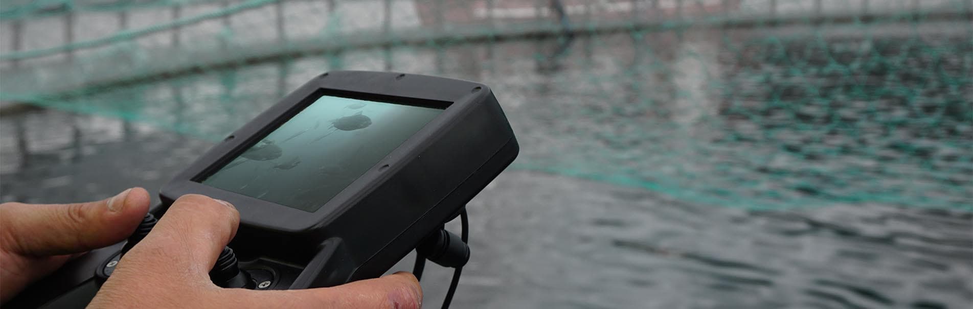 Daily Routine Inspections Aquaculture Farmer