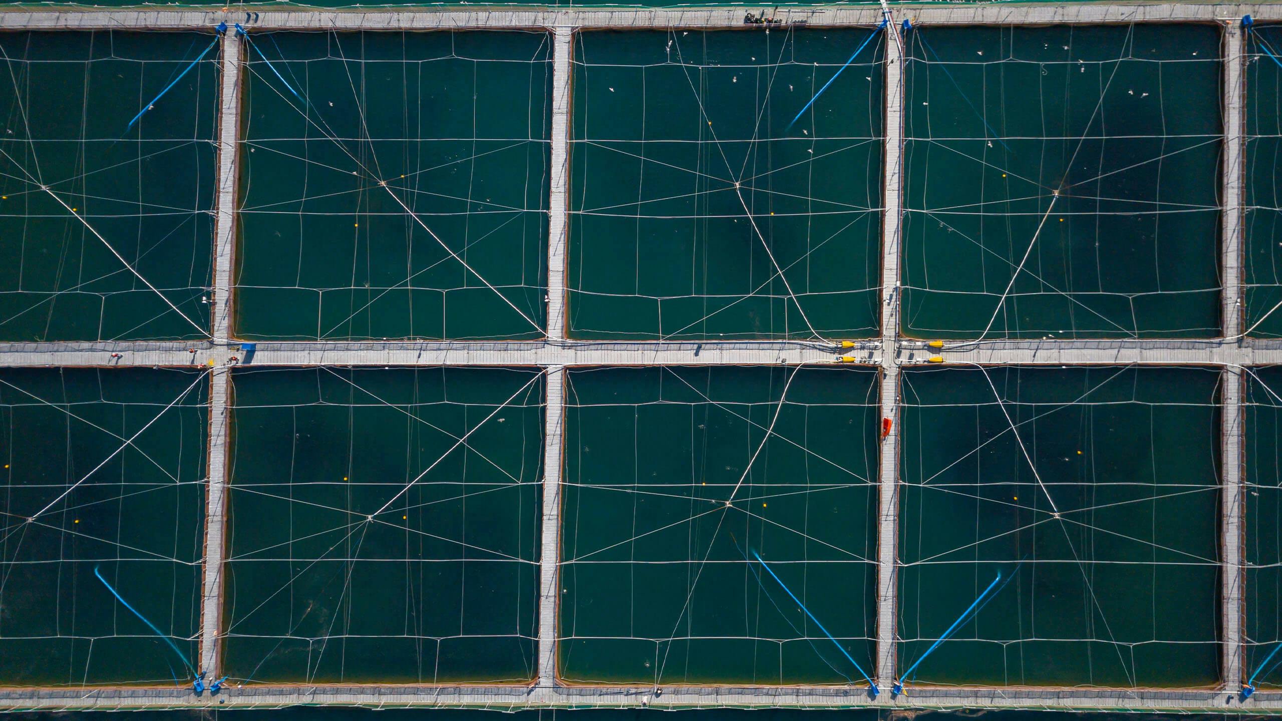 Aerial view of fish pens on aquaculture farm 