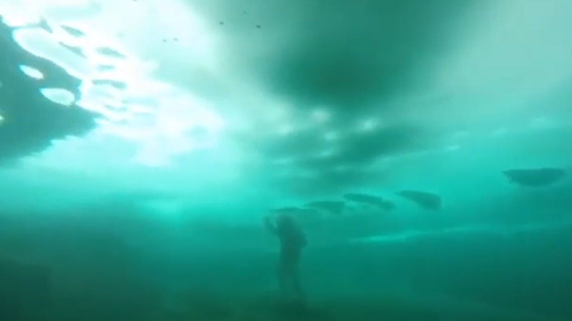 Police diver swimming under ice as captured by the DTG3 underwater ROV. 