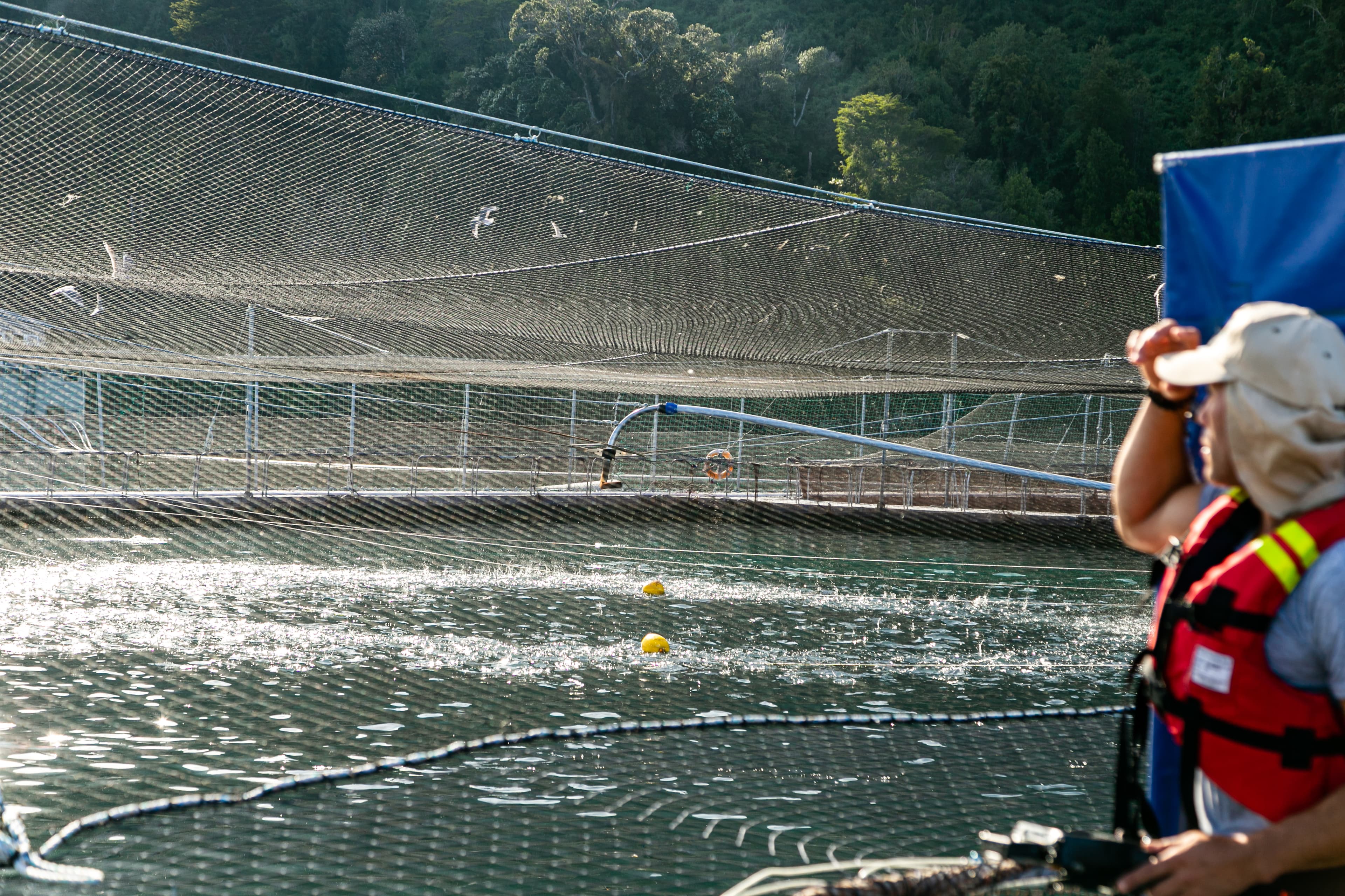 Aquaculture-home