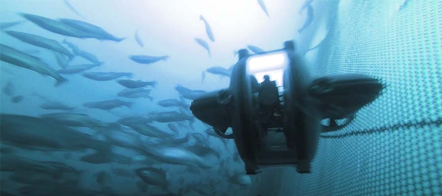 Underwater drone aquaculture fish farm