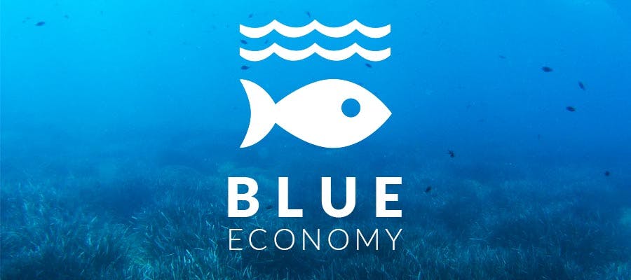 blue economy united nations sustainable development goals