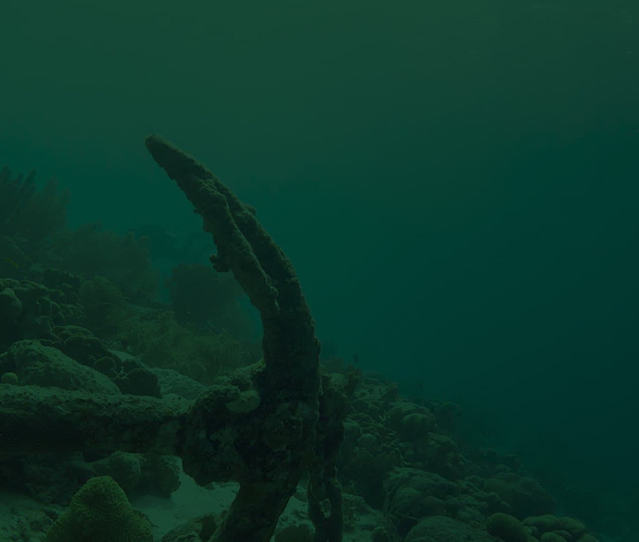 Navigate Murky Waters Image