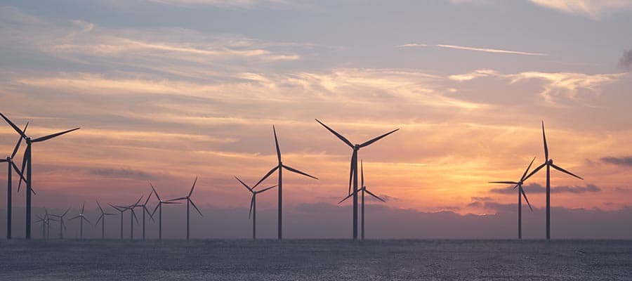 ROV Buying Guide | Everything You Need to Know Before You Buy